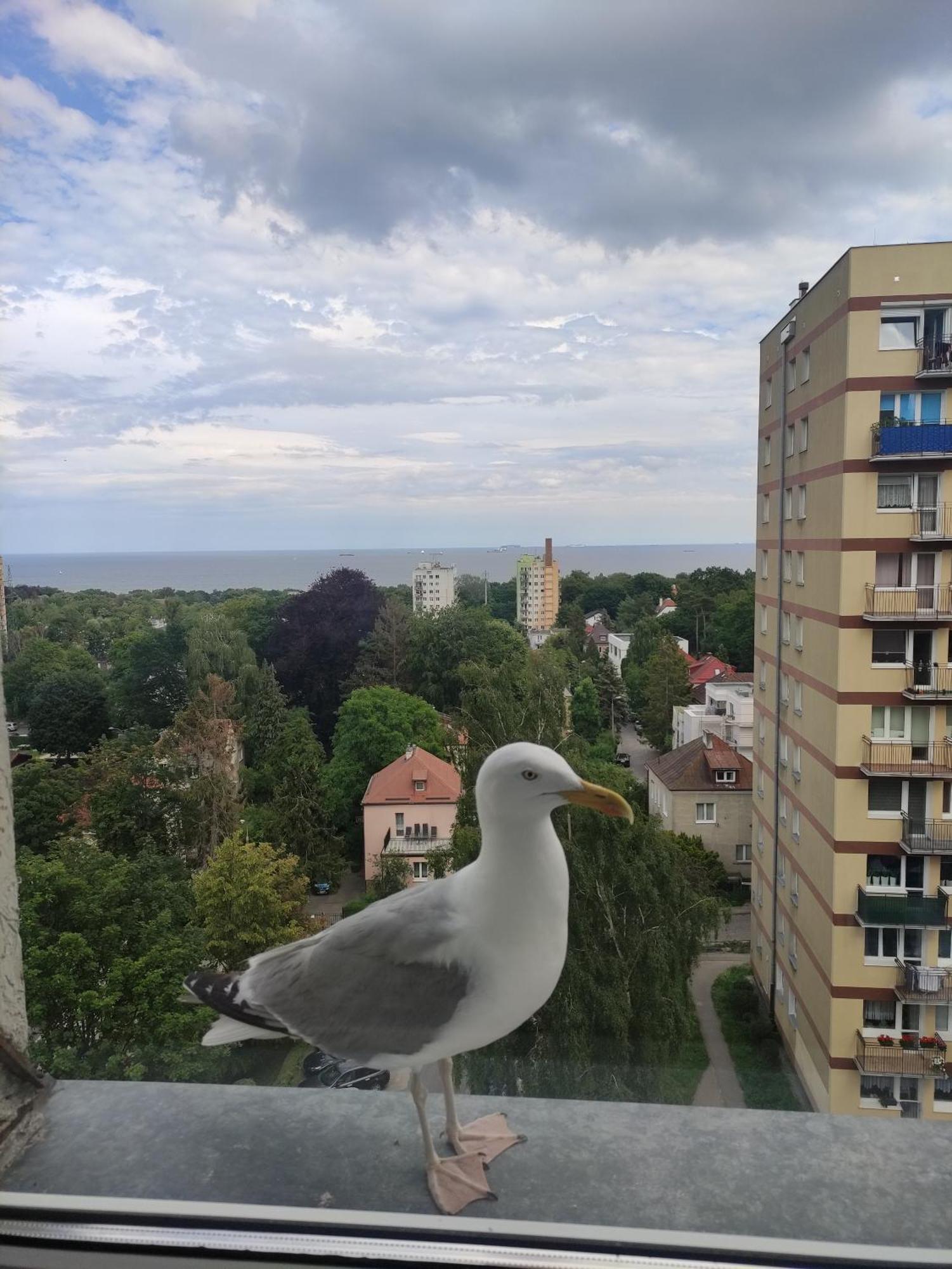 Ferienwohnung Apartament Widokowo Zoppot Exterior foto